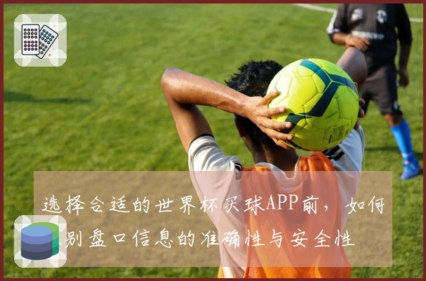 选择合适的世界杯买球APP前，如何识别盘口信息的准确性与安全性