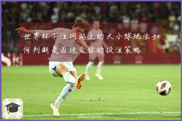 世界杯下注网站上的大小球玩法如何判断是否适合你的投注策略