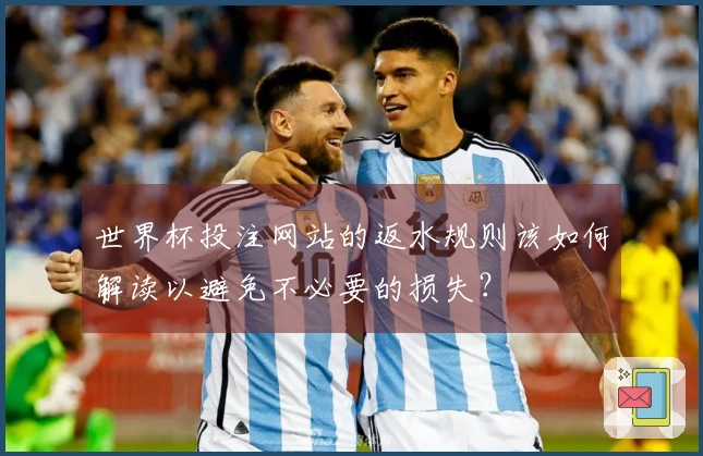 世界杯投注网站的返水规则该如何解读以避免不必要的损失？